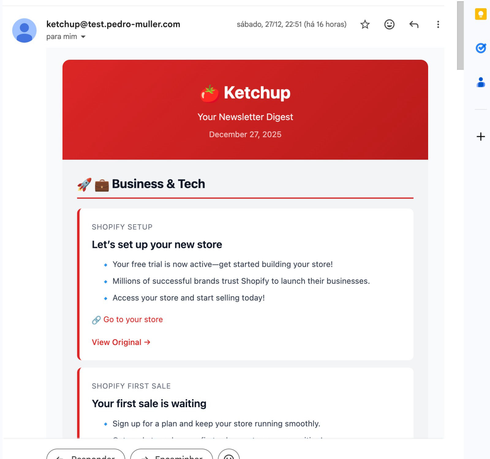 Gmail view of a Catchup Digest email with a Ketchup header, Business and Tech section, and summarized newsletter cards with View Original links.